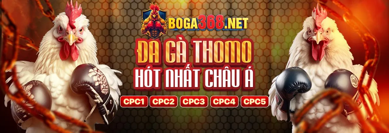 Giao diện cá cược thể thao k9win