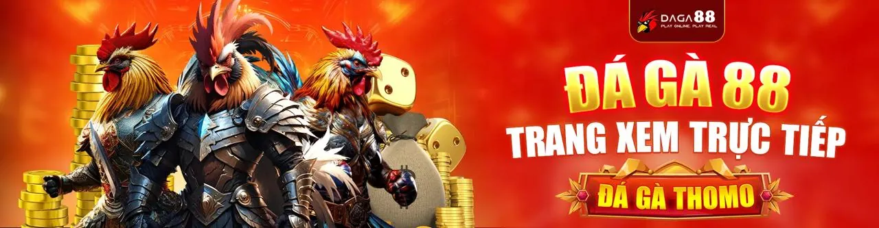 Giao diện cá cược thể thao k9win cho người mới bắt đầu