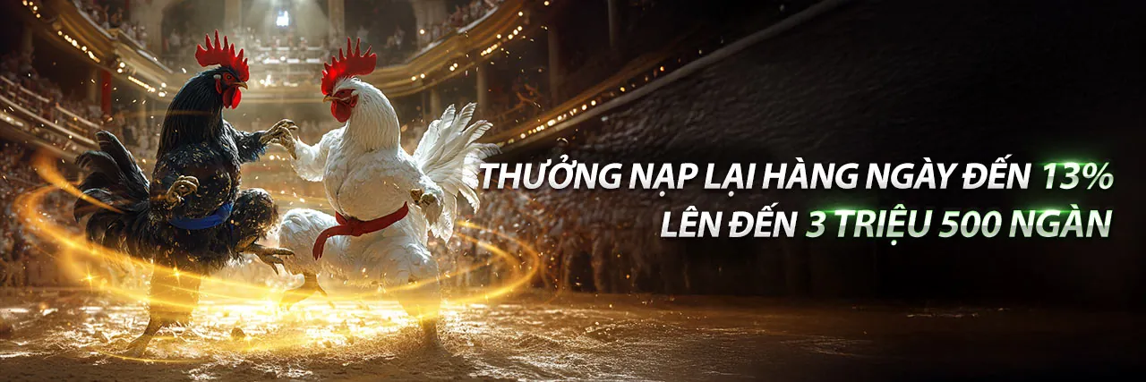 Chương trình đối tác K9WIN