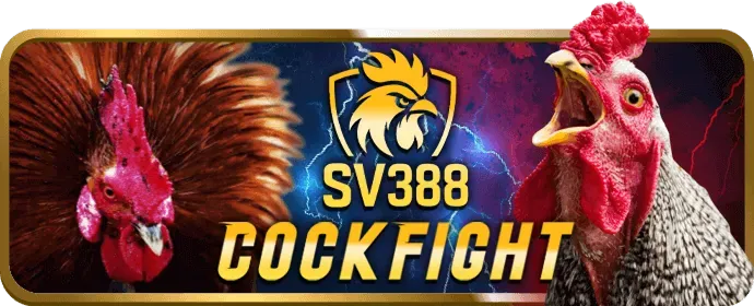 Bí kíp chơi bắn cá k9win hiệu quả
