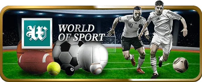 Cá cược thể thao k9win