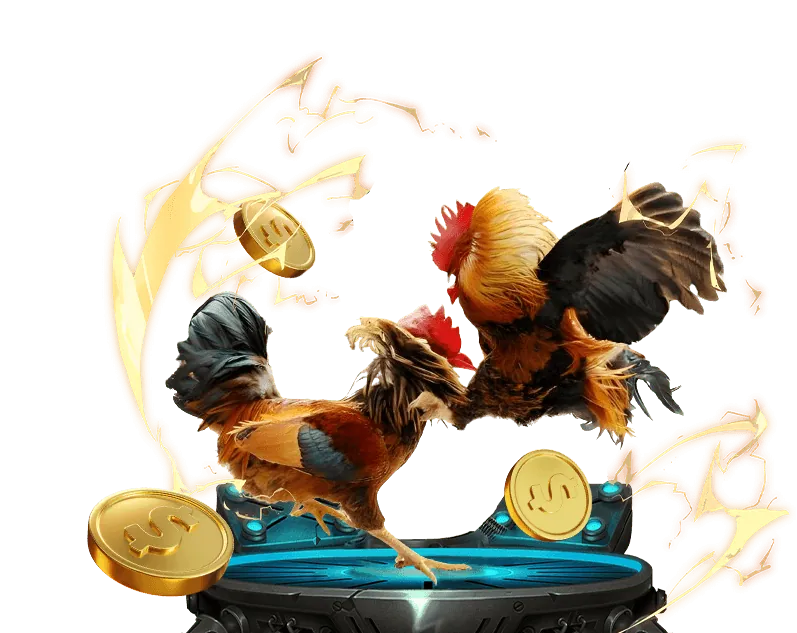 K9WIN Ưu Điểm Nền Tảng